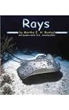 Rustad, Martha E. H.: Rays Rustad, Martha E. H.: Rays