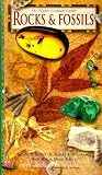 Willis, Paul: Rocks & Fossils Willis, Paul: Rocks & Fossils