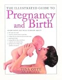 Otte, Tina: The Illustrated Guide to Pregnancy and Birth Otte, Tina: The Illustrated Guide to Pregnancy and Birth