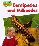 Greenaway, Theresa: Centipedes and Millipedes Greenaway, Theresa: Centipedes and Millipedes