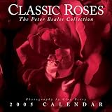 Perry, Clay: Classic Roses 2005 Calendar: The Peter Beales Collection Perry, Clay: Classic Roses 2005 Calendar: The Peter Beales Collection