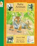 Hall, Derek: Baby Animals : Five Stories of Endangered Species Hall, Derek: Baby Animals : Five Stories of Endangered Species