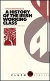 Ellis, P. Berresford: A History of the Irish Working Class