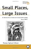 Eriksen, Thomas Hylland: Small Places, Large Issues: An Introduction to Social and Cultural Anthropology
