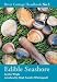 Edible Seashore: River Cottage Handbook No.5