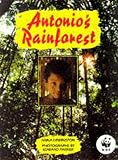 Lewington, Anna: Antonio's Rainforest