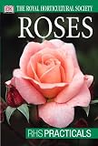 Hawthorne, Linden: Roses Hawthorne, Linden: Roses