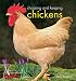 Choosing and Keeping Chickens