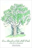 Miiko Satake: On the Bench in Oak Hill Park: My Life in Hempstead