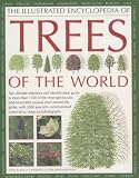 Walters, Martin: The Illustrated Encyclopedia of Trees of the World: THE ULTIMATE REFERENCE AND IDENTIFICATION GUIDE TO MORE THAN 1300 OF THE MOST SPECTACULAR, BEST-LOVED AND UNUSUAL TREES ACROSS THE GLOBE, WITH MORE TH Walters, Martin: The Illustrated Encyclopedia of Trees of the World: THE ULTIMATE REFERENCE AND IDENTIFICATION GUIDE TO MORE THAN 1300 OF THE MOST SPECTACULAR, BEST-LOVED AND UNUSUAL TREES ACROSS THE GLOBE, WITH MORE TH