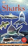Dk Publishing: Sharks Dk Publishing: Sharks