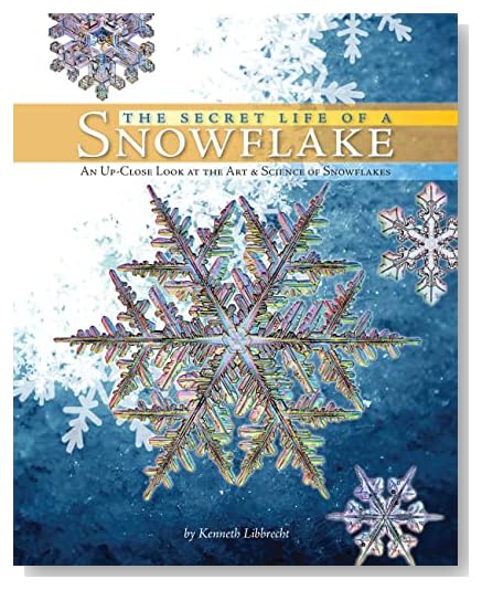 The Secret Life of a Snowflake: An Up-Close Look at the Art and Science of Snowflakes