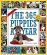 The 365 Puppies-A-Year 2009 Calendar (Picture-A-Day Wall Calendars)