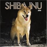 Not Available: Shiba Inu 2005 Calendar
