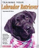 Morn, September B.: Training Your Labrador Retriever