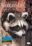 Taylor, Barbara: Woodland Life