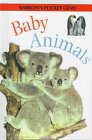 Somerville, Louisa: Baby Animals