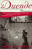 Webster, Jason: Duende: A Journey into the Heart of Flamenco
