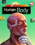 [???]: Human Body