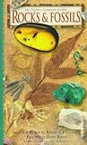 Willis, Paul: Rocks & Fossils Willis, Paul: Rocks & Fossils