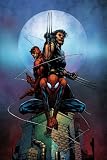 Finch, David: Ultimate X-Men
