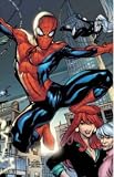 Millar, Mark: Spider-man: The Last Stand Millar, Mark: Spider-man: The Last Stand