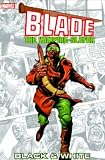 Wolfman, Marv: Blade: Black & White