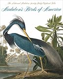 Peterson, Roger Tory: Audubon's Birds Of America Peterson, Roger Tory: Audubon's Birds Of America