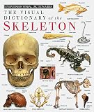 Walker, Richard: The Visual Dictionary of the Skeleton