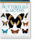 Taylor, Barbara: Butterflies and Moths Taylor, Barbara: Butterflies and Moths