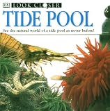 Gunzi, Christiane: Tide Pool Gunzi, Christiane: Tide Pool