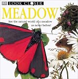 Taylor, Barbara: Meadow