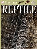 Mc Carthy, Colin: Reptile