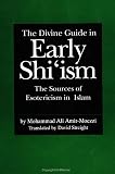 Amir-Moezzi, Mohammad Ali: The Divine Guide in Early Shi'Ism: The Sources of Esotericism in Islam