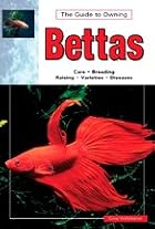 Siamese Fighting Fish by Gene Wolfsheimer