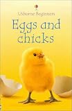 Patchett, Fiona: Eggs and Chicks Patchett, Fiona: Eggs and Chicks