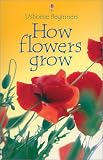 Helbrough, Emma: How Flowers Grow Helbrough, Emma: How Flowers Grow