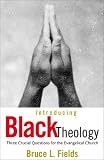 Fields, Bruce L.: Introducing Black Theology: 3 Crucial Questions for the Evangelical Church Fields, Bruce L.: Introducing Black Theology: 3 Crucial Questions for the Evangelical Church