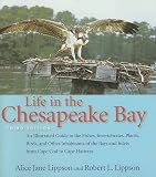Lippson, Robert L.: Life in the Chesapeake Bay