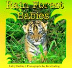 Darling, Kathy: Rain Forest Babies Darling, Kathy: Rain Forest Babies