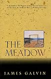 Glavin, James: The Meadow