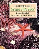 Bendick, Jeanne: Exploring an Ocean Tide Pool Bendick, Jeanne: Exploring an Ocean Tide Pool