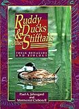 Johnsgard, Paul A.: Ruddy Ducks & Other Stifftails: Their Behavior and Biology