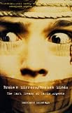 McDonagh, Maitland: Broken Mirrors - Broken Minds: The Dark Dreams of Dario Angento McDonagh, Maitland: Broken Mirrors - Broken Minds: The Dark Dreams of Dario Angento