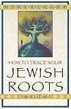 David, Jo: How to Trace Your Jewish Roots: Discovering Your Unique History David, Jo: How to Trace Your Jewish Roots: Discovering Your Unique History