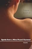 Sparks from a Nine-Pound Hammer: Poems (0807126942) by Scafidi, Steve Scafidi, Steve: Sparks from a Nine-Pound Hammer: Poems