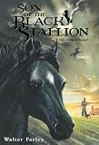 Farley, Walter: Son of the Black Stallion