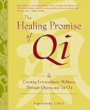 The Healing Promise of Qi: Creating Extraordinary Wellness With Qigong and Tai Chi (0809295288) by Jahnke, Roger Jahnke, Roger: The Healing Promise of Qi: Creating Extraordinary Wellness With Qigong and Tai Chi