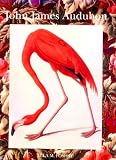 National Museum of American Art Staff: John James Audubon National Museum of American Art Staff: John James Audubon