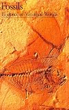 Gayrard-Valy, Yvette: Fossils: Evidence of Vanished Worlds Gayrard-Valy, Yvette: Fossils: Evidence of Vanished Worlds